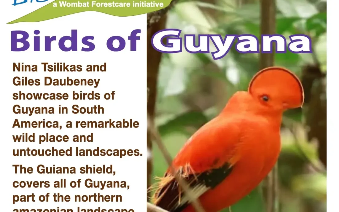 Birds of Guyana Talk – AGM