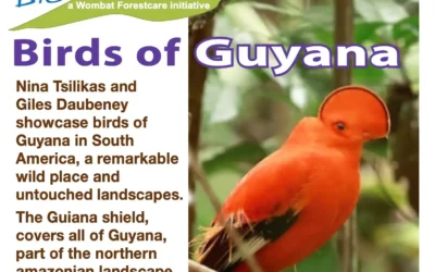 Birds of Guyana Talk – AGM