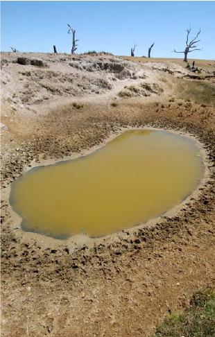 Degraded agricultural areas in the mid reaches of the Moorabool