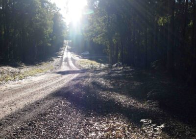 Photos of the mining site