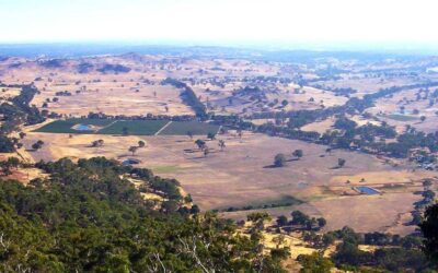 Habitat fragmentation & wildlife corridors