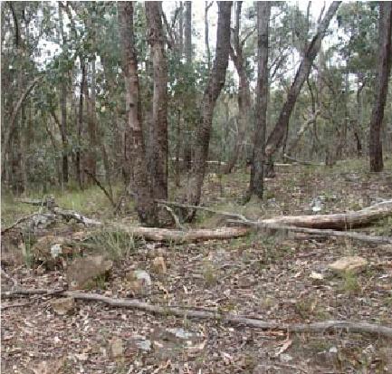 Mining Licence approved for Shepherd’s Flat