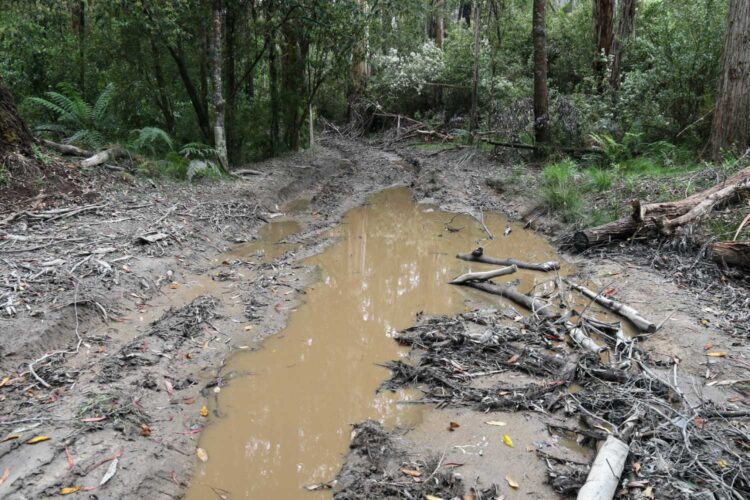 Illegal 4WD activity in the headwaters of the Lerderderg River