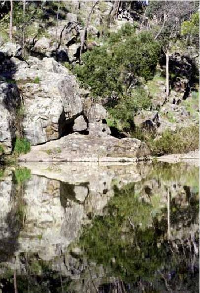 Reflections on the Loddon south of Vaughan Springs
