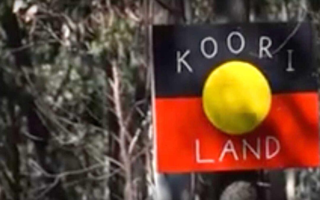 Picnic/Walk to the Mining site in the Wombat Forest