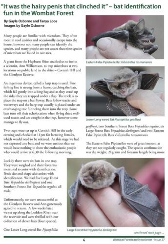 Bats March 2015