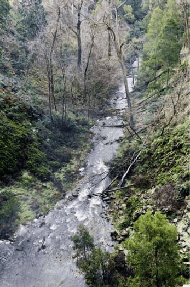 The Coliban downstream of Trentham Falls
