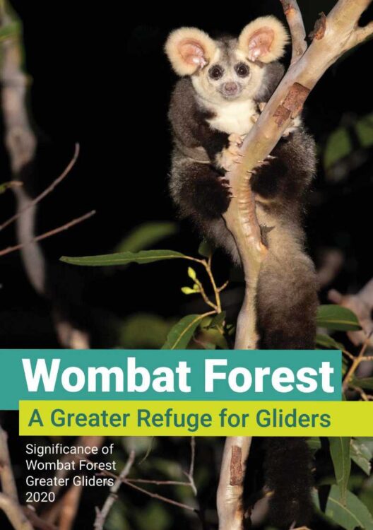 Wombat Forest A greater Refuge for Greater Gliders