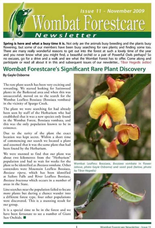 Wombat Forestcare Newsletter 11 Nov 2009