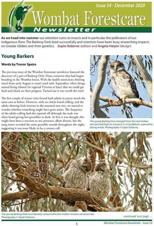 Wombat Forestcare Newsletter 54 December 2020