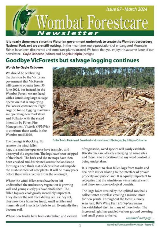Wombat Forestcare Newsletter 67 Mar 24