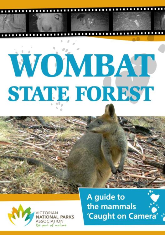 Wombat State Forest A guide to the mammals Caught on Camera