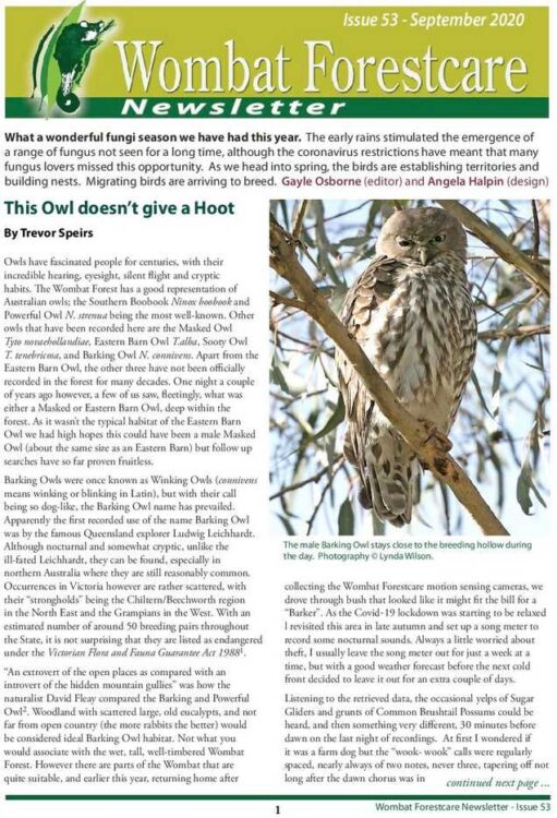 Wombat Forestcare Newsletter 53 September 2020