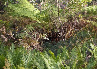 Photos of the mining site