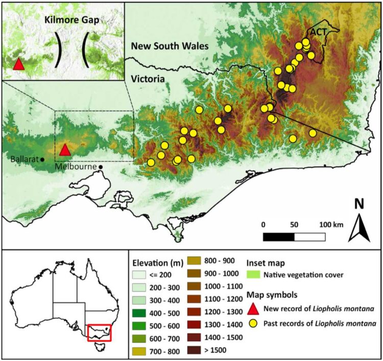 genetic populations of Mountain Skink across the region