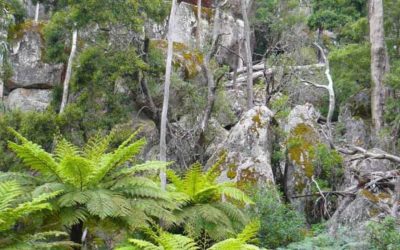 Conservation values of the Mt Cole and Pyrenees Landscape