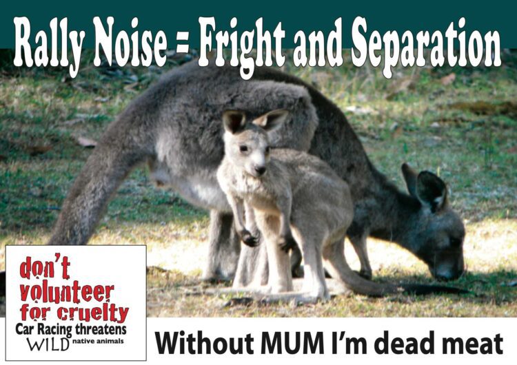 rally poster Roo+baby