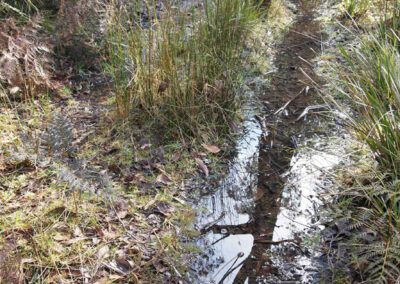 Photos of the mining site