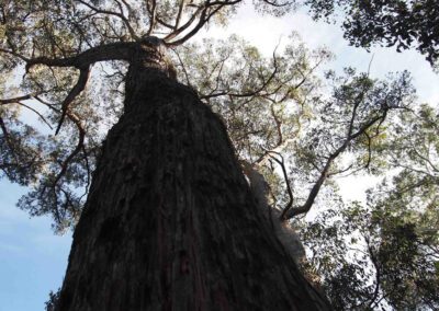 Photos of the mining site