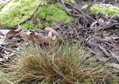 Photos of the mining site